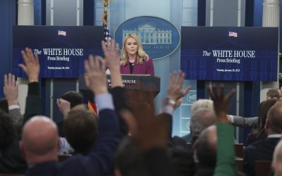 profimedia-0958391960.jpg - ReactiveNews