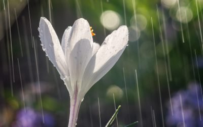 profimedia-0986755680.jpg - ReactiveNews