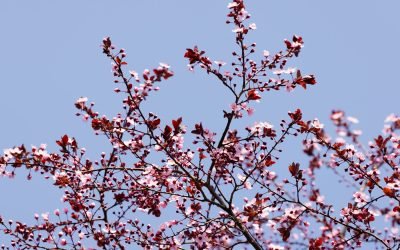 profimedia-1081352635.jpg - ReactiveNews