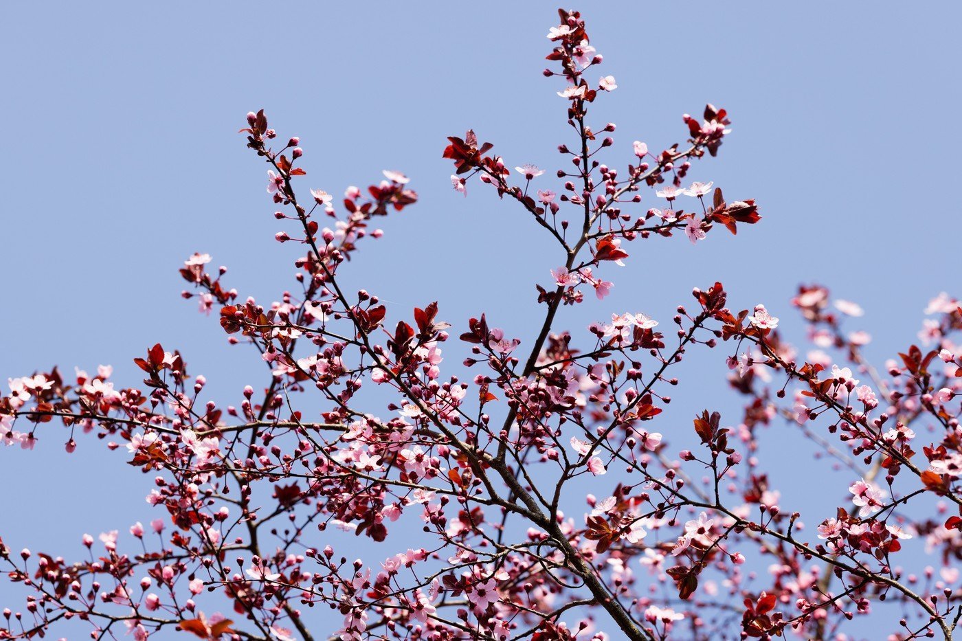 Vremea până în mai aduce surprize, conform prognozei meteo