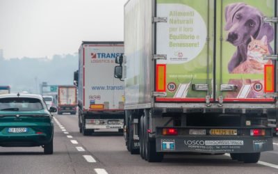 profimedia-1081629230.jpg - ReactiveNews