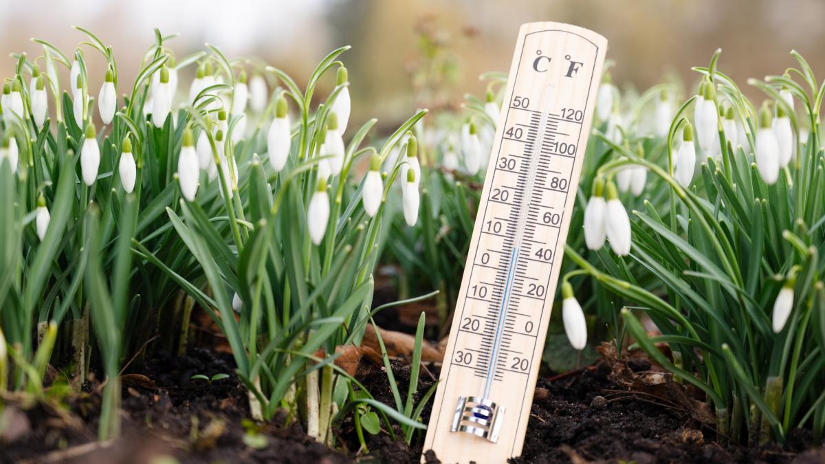 Meteorologii anunță pentru următoarele zile o perioadă firească din punct de vedere al temperaturilor, caracterizată prin valori peste mediile multianuale pentru aprilie, dar și cu condiții de vreme relativ stabilă