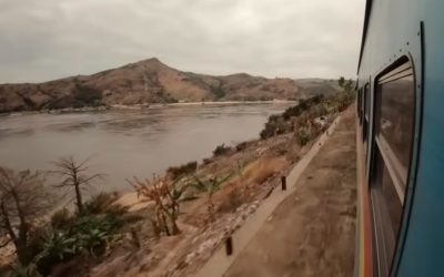 raul-congo.jpg - ReactiveNews