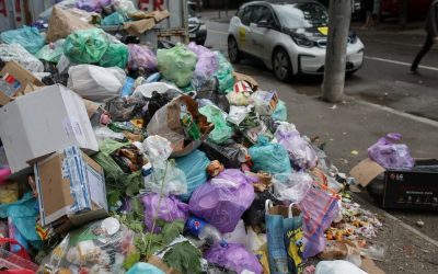 Consiliul Local al Sectorului 1 din București a aprobat marți, 31 martie 2026, studiul de oportunitate pentru înființarea unei societăți proprii de salubritate, o decizie ce marchează un pas important în administrarea serviciilor de mediu din zonă