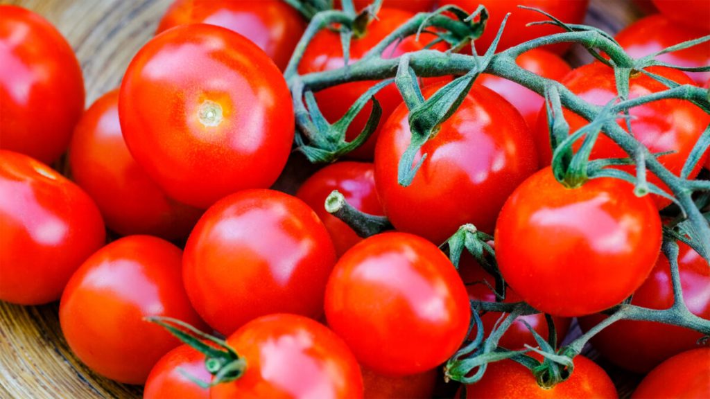 O metodă simplă și eficientă pentru a elimina pesticidele de pe roșiile din grădină sau de la piață a început să câștige tot mai multă popularitate în rândul consumatorilor preocupați de sănătatea familiei lor