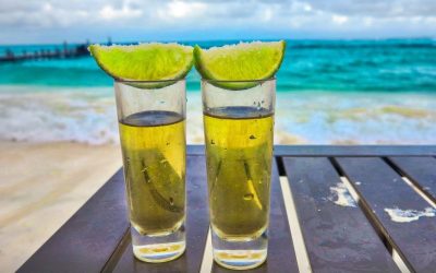 summer-3106910_1280-e1610632471421.jpg - ReactiveNews