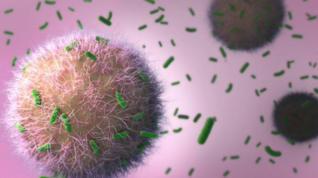 OMS: 1 din 5 cazuri de tuberculoză nu este detectat