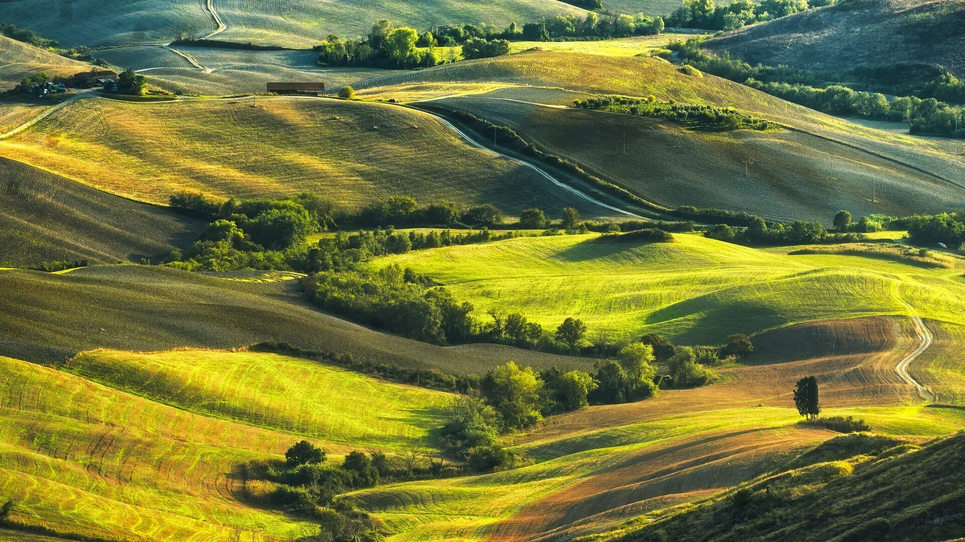 Proiect de lege pentru reconstituirea dreptului de proprietate asupra terenurilor agricole din fostele cooperative – o modificare semnificativă a legii fondului funciar Un nou proiect legislativ depus recent în Senatul României propune modificarea Legii nr