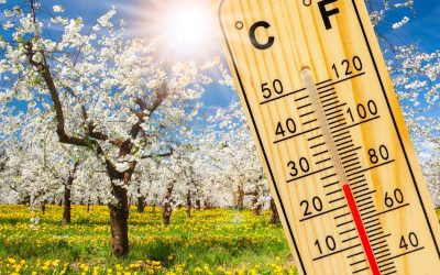 vremea-primavara-martie.jpg - ReactiveNews