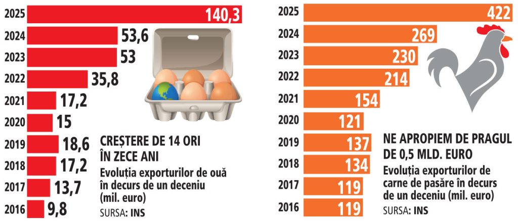 România, țara fermelor de păsări: Exporturi record și carne vedetă!