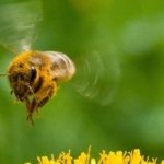 135606_20260401145602_20260401145602.jpg - ReactiveNews