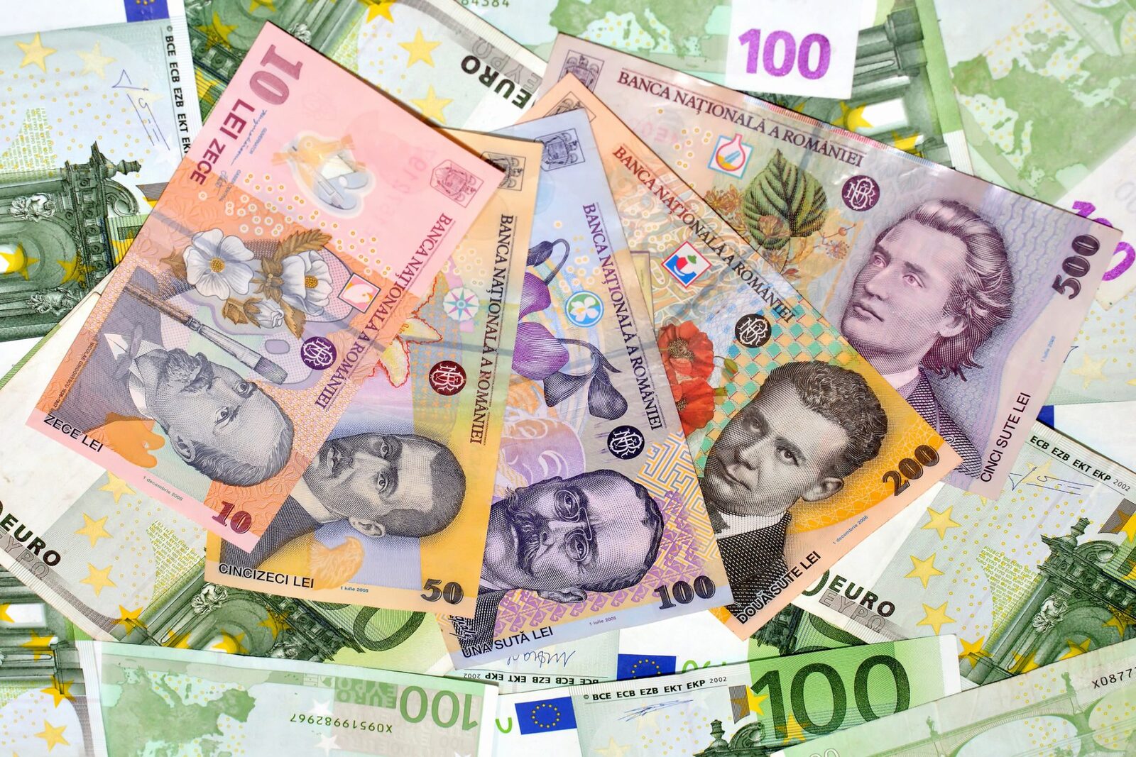 FGNCCIMM: 16 brokeri de credite, parteneri pentru antreprenorii din România