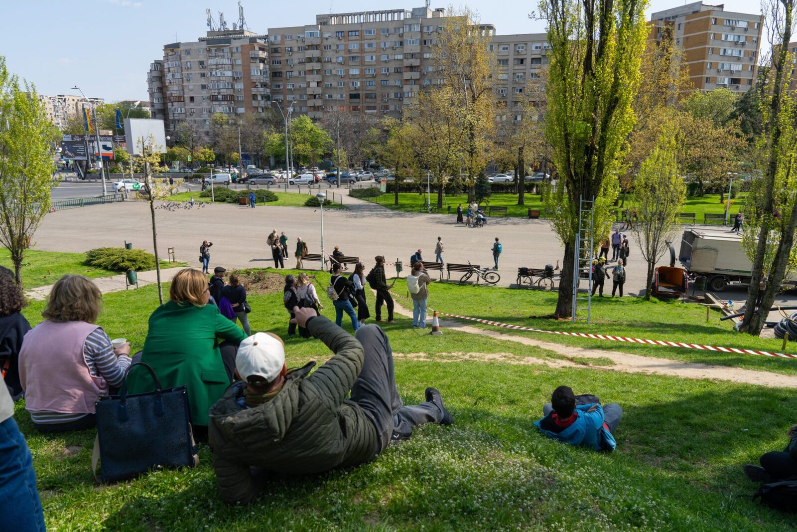 Arborii din Parcul Tineretului, în pericol: intervenții salvatoare pentru plopi