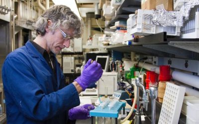 BofA taie ținta de preț a PFE, acțiunile Pfizer sub presiune