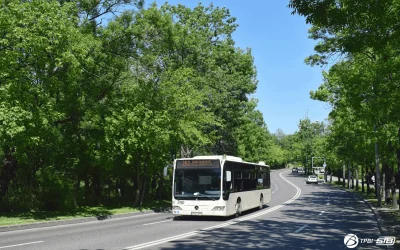 282-Citaro-1600x1011-1.webp.webp - ReactiveNews