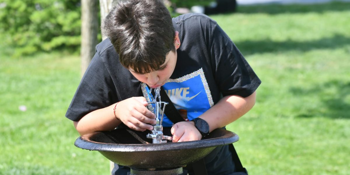 Primăria Sectorului 6 va plăti peste 80.000 de euro unei firme cu un singur angajat pentru mentenanța cișmelelor, potrivit datelor din Sistemul Electronic de Achiziții Publice (SEAP)