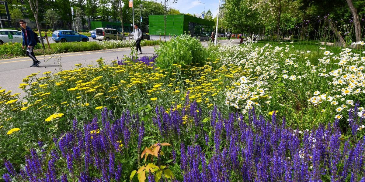 486150583_1065582412266362_6818751320928648194_n.jpg - ReactiveNews