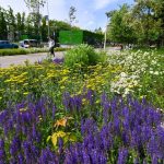 486150583_1065582412266362_6818751320928648194_n.jpg - ReactiveNews