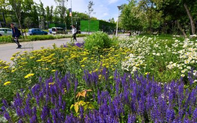 486150583_1065582412266362_6818751320928648194_n.jpg - ReactiveNews