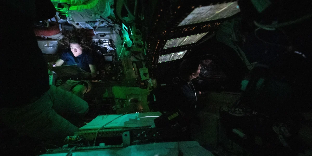 55187055368-7ab1e4c6a4-o-scaled.webp.webp - ReactiveNews