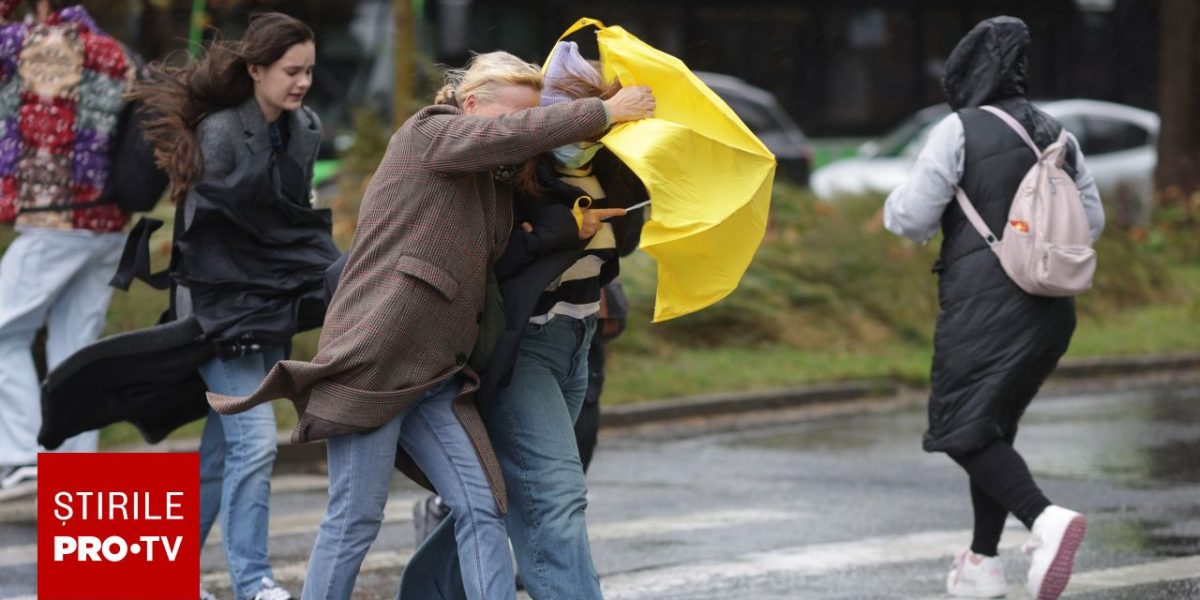 62580225.jpg - ReactiveNews