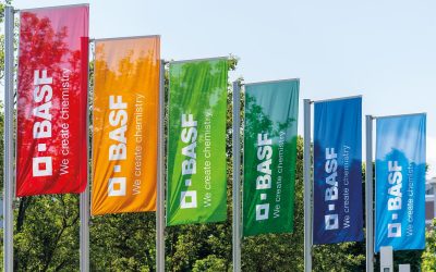 BASF, investiție uriașă la București: Peste 50 de noi angajați
