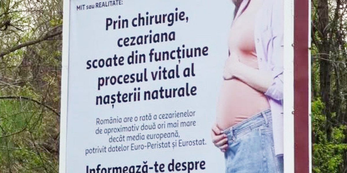 Senatoarea Păun, scandal cu panouri: „În 2026, așa ceva?” Cere intervenție