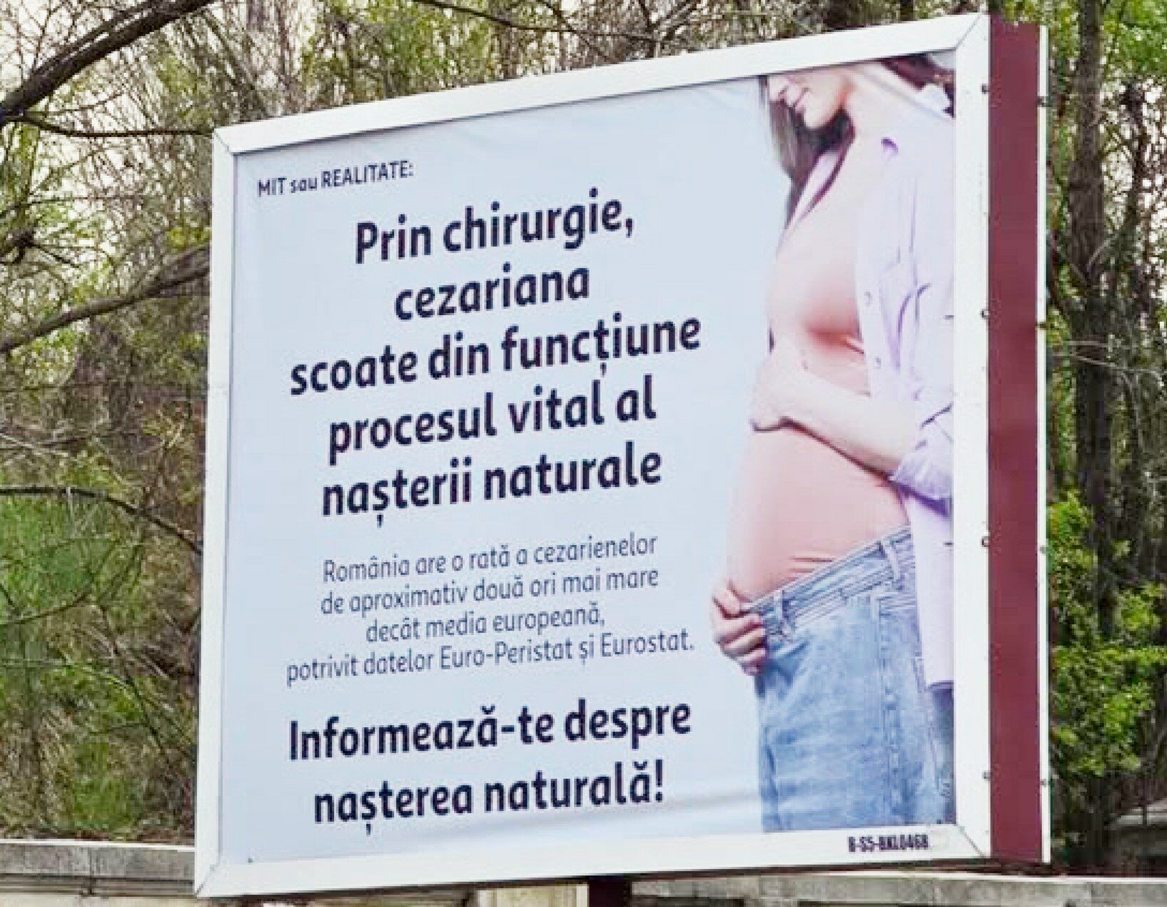 Senatoarea Păun, scandal cu panouri: „În 2026, așa ceva?” Cere intervenție