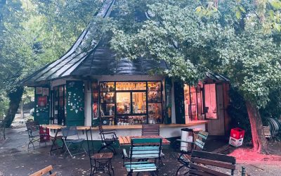 Mii de oameni revoltați: Ciucu, pus la zid pentru o terasă din Cișmigiu