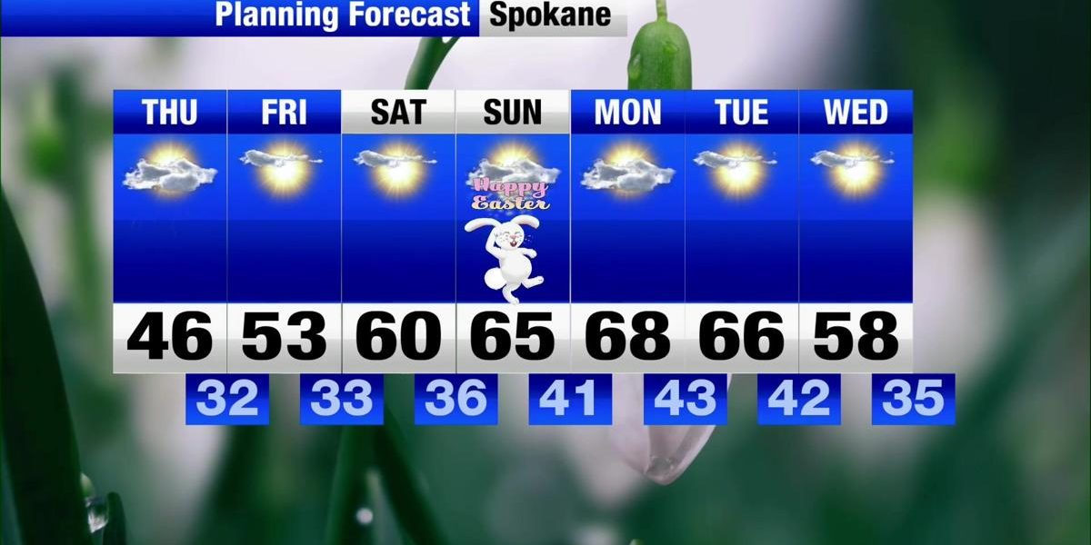 69cdc6feab142.image_.jpg - ReactiveNews