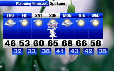 69cdc6feab142.image_.jpg - ReactiveNews