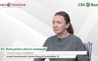 Banca CEC, sprijin pentru afacerile românești. Zsuzsa BERESCHI (EY): Resursele sunt un atu