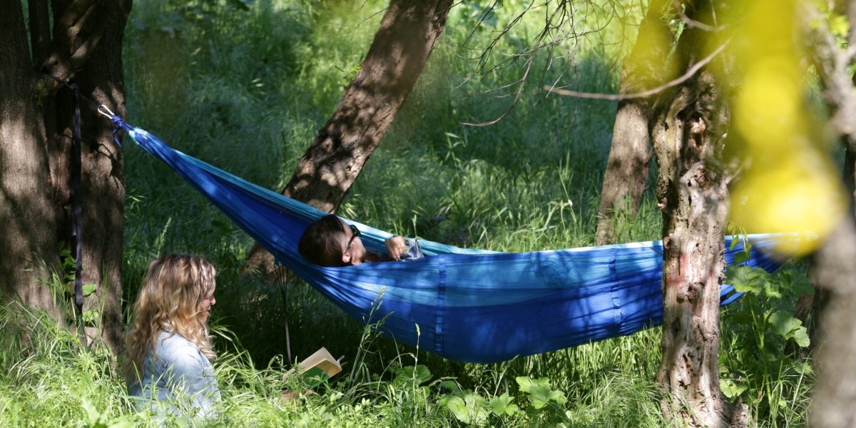 Cum poți câștiga mii de euro la un concurs despre natură dacă ești elev