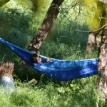 Cum poți câștiga mii de euro la un concurs despre natură dacă ești elev