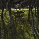 Un parc din București va purta numele președintelui SUA, având sprijinul primarului sectorului