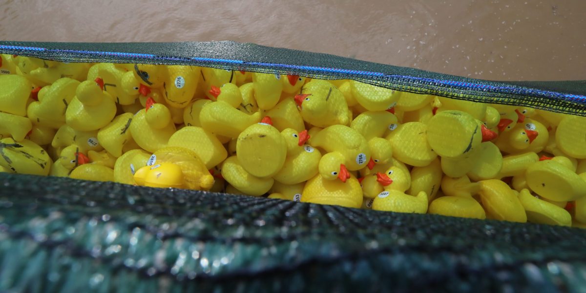 Microplasticele, otrava invizibilă: De la jucării la implanturi, pericolul e peste tot