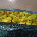 Microplasticele, otrava invizibilă: De la jucării la implanturi, pericolul e peste tot