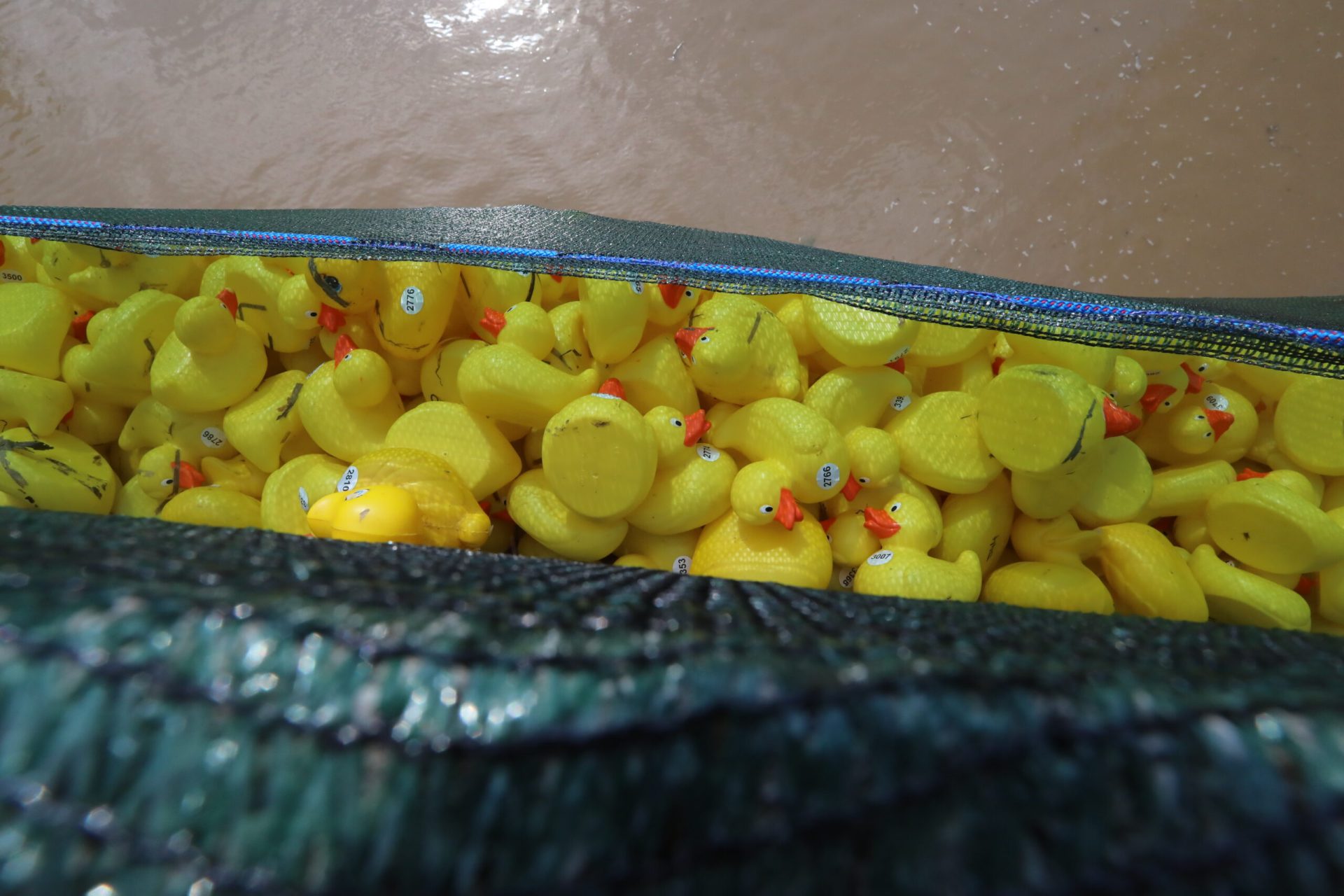 O „furtună de microplastice” amenință sănătatea umană, potrivit unui studiu recent care analizează sute de cercetări științifice