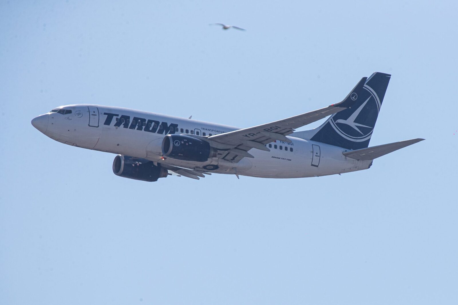 Sindicaliștii TAROM, protest în Piața Victoriei: Acuză Guvernul că distruge compania