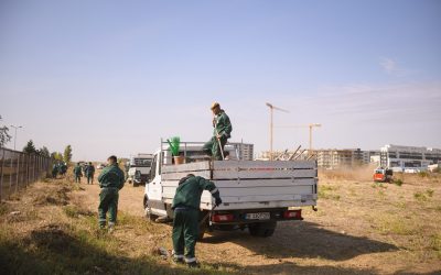România, lideră la inegalitate de gen pe piața muncii din UE