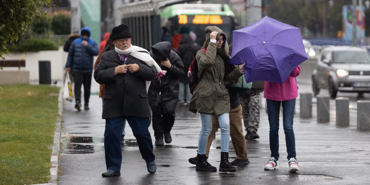 8074874-mediafax_foto-alexandra_pandrea_gmn-scaled.jpg - ReactiveNews