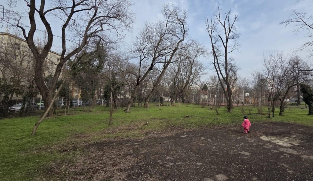 Asociația Părinți de Cireșari semnalează o stare de degringoladă în gestionarea Bazei Sportive Cireșarii, situată în zona Domenii din Sectorul 1 al Capitalei