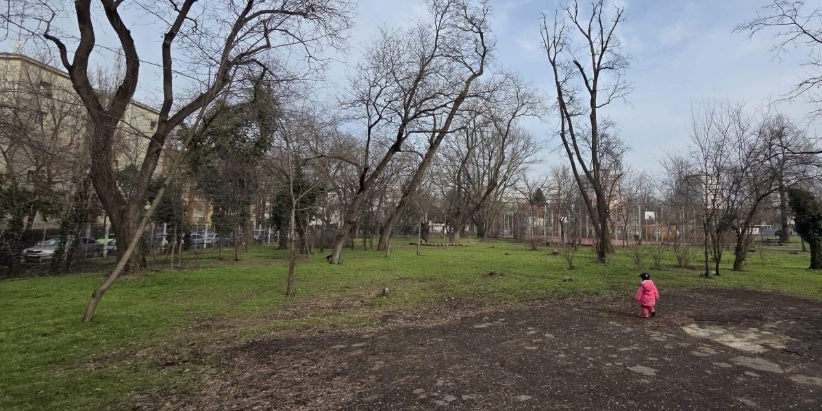 Baza-Sportiva-Ciresarii.jpg - ReactiveNews