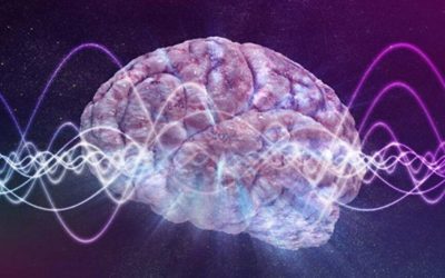 Creierul NU decide totul: Teoria ȘOCANTĂ ce schimbă tot despre minte!