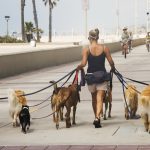 Câți ani de chin? România limitează timpul de legat al câinilor