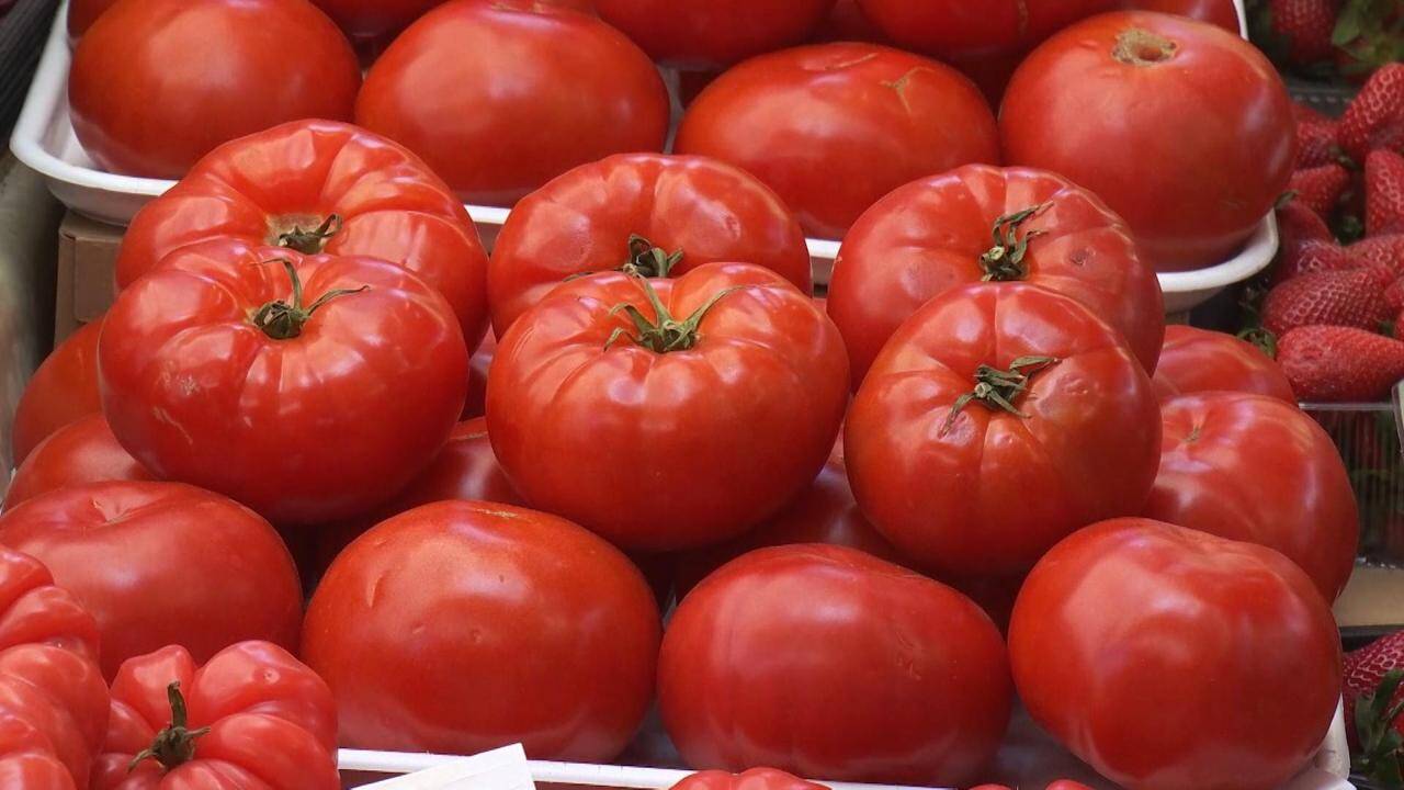 Recoltarea roșiilor din acest an s-a finalizat cu rezultate mai slabe decât în anii precedenți, iar prețurile de vânzare au explodat din cauza costurilor crescute de producție