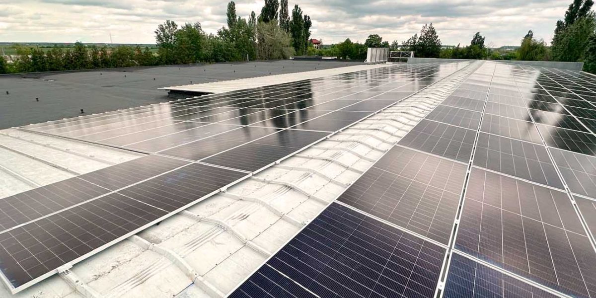 Comunicat-green-volt.jpg - ReactiveNews