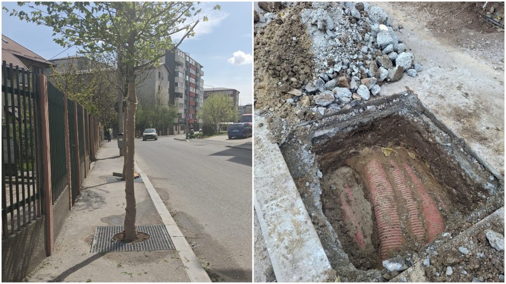 FOTO | Scandal în Sectorul 4: Arbori plantați peste cabluri, 1,6 mil. € cheltuiți!