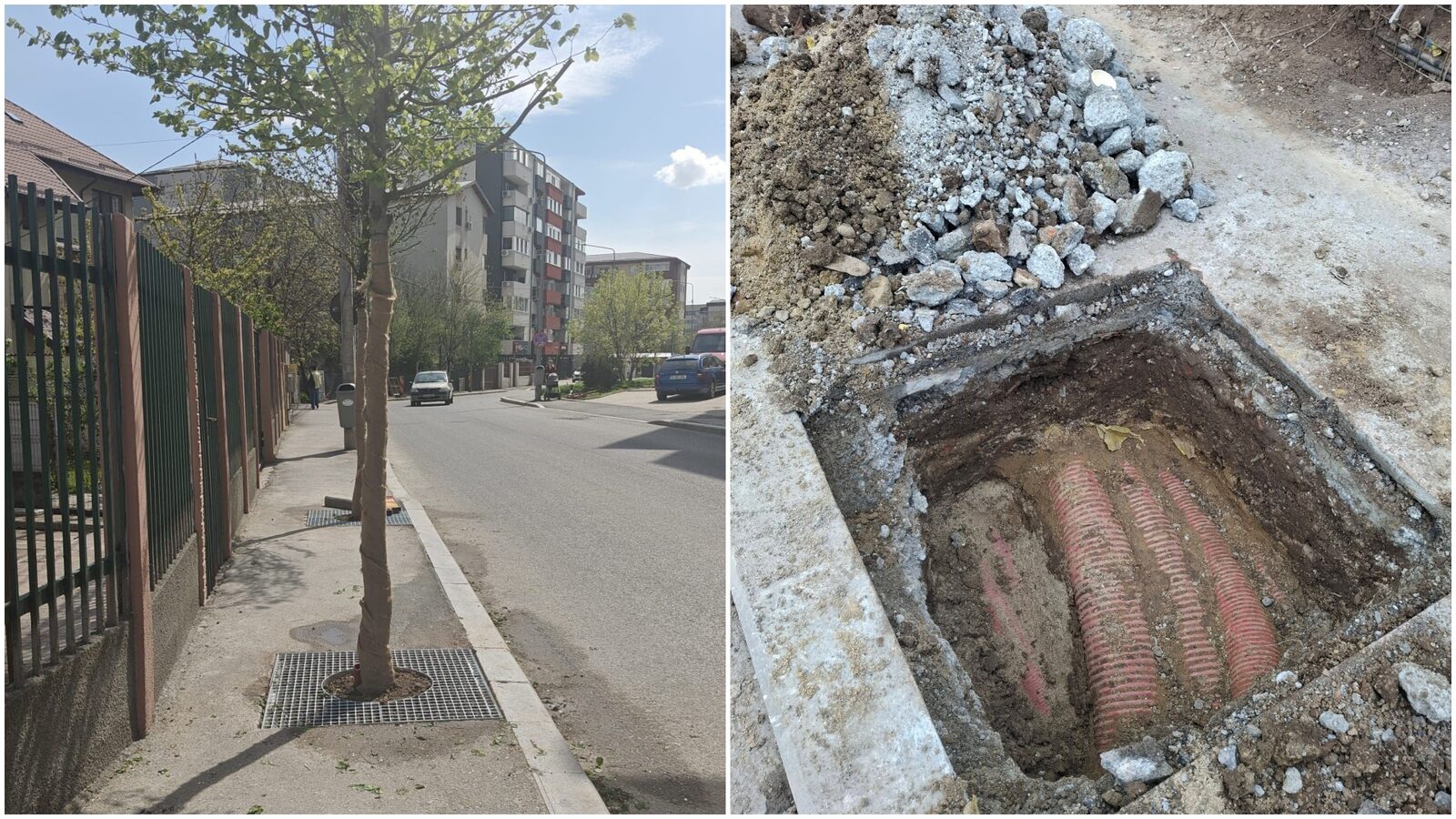 FOTO | Scandal în Sectorul 4: Arbori plantați peste cabluri, 1,6 mil. € cheltuiți!