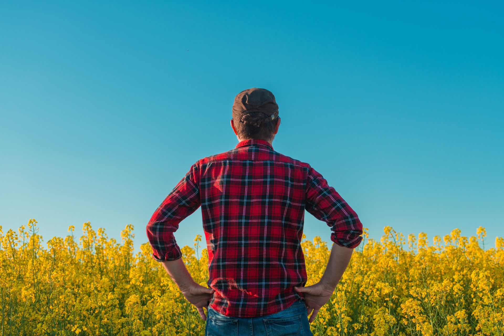 Manosfera, un pericol? Britanicii cer măsuri dure pentru bărbați